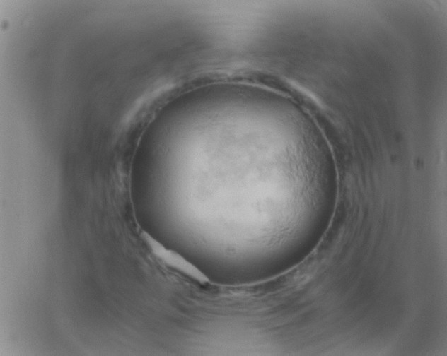 X0000061741447200512231448