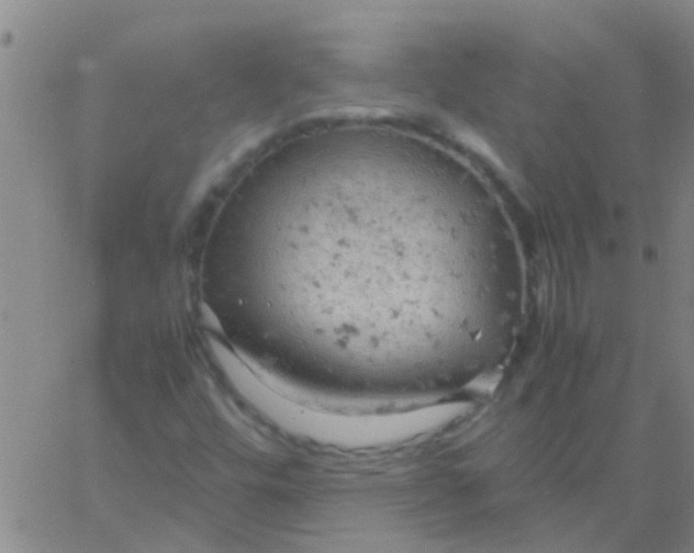 X0000061741448200512231448