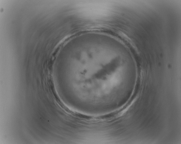 X0000061741449200512231448