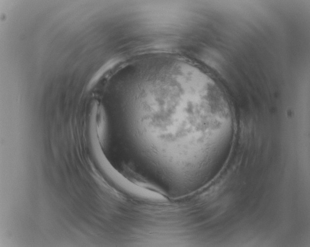 X0000061741450200512231448