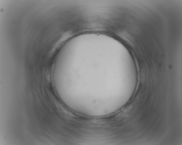 X0000061741451200512231448