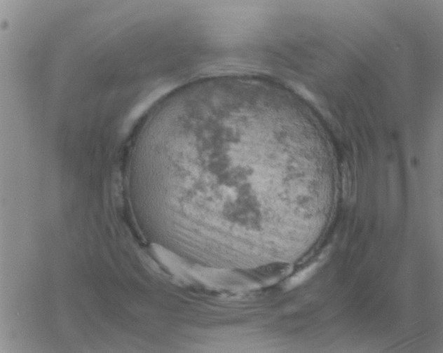 X0000061741453200512231448