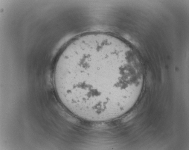 X0000061741454200512231448