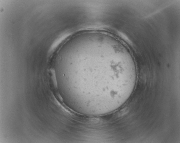 X0000061741456200512231448