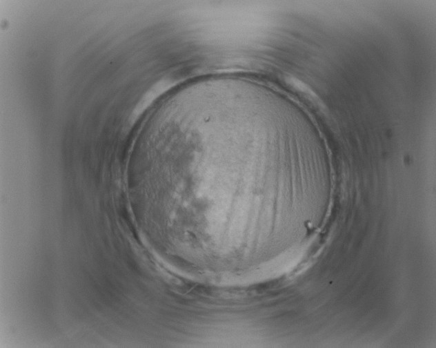 X0000061741457200512231448