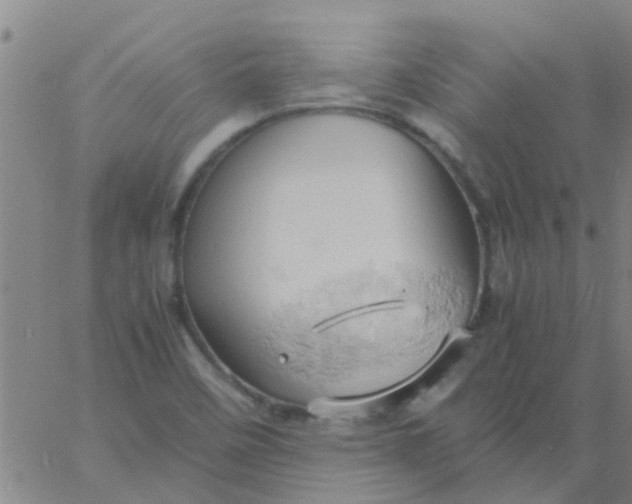 X0000061741458200512231448