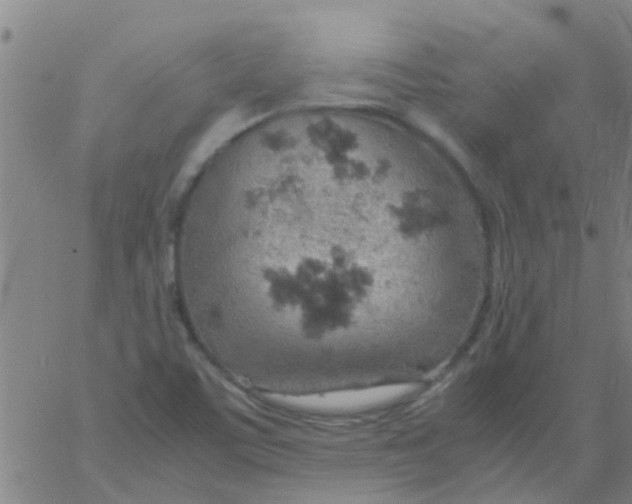 X0000061741459200512231448