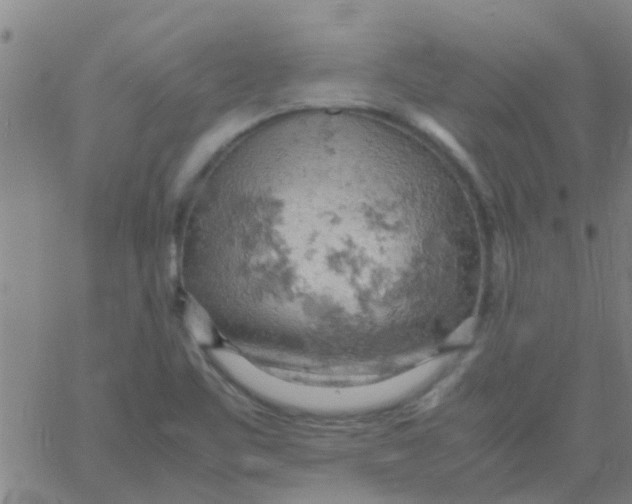 X0000061741461200512231448