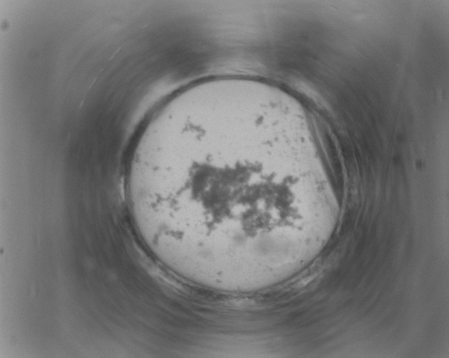 X0000061741462200512231448