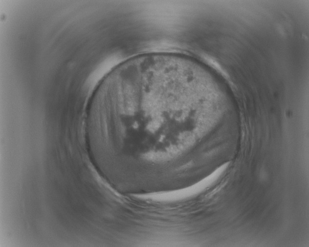 X0000061741463200512231448