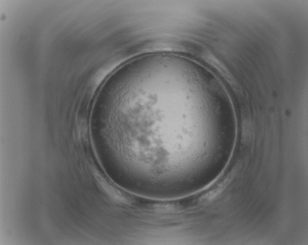 X0000061741465200512231447