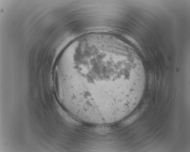 X0000061741466200512231447