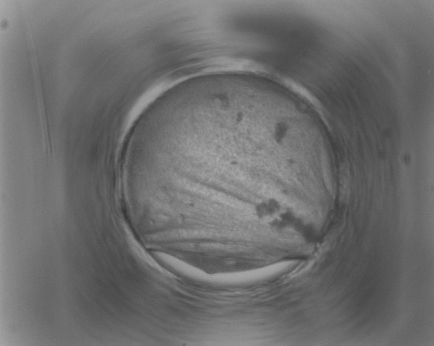 X0000061741467200512231447