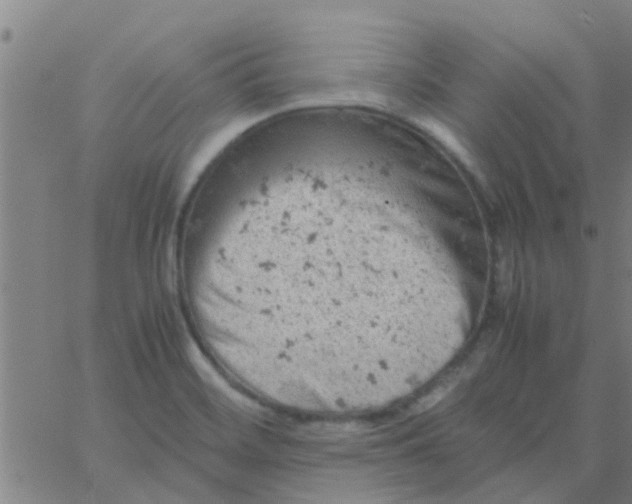 X0000061741468200512231447