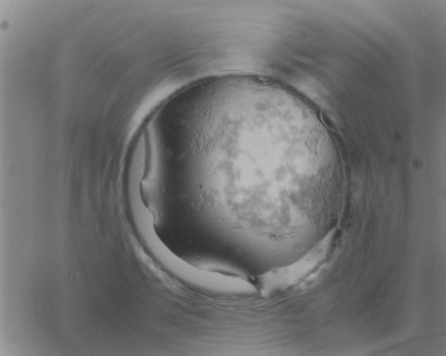 X0000061741469200512231447