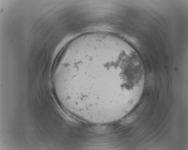 X0000061741470200512231447