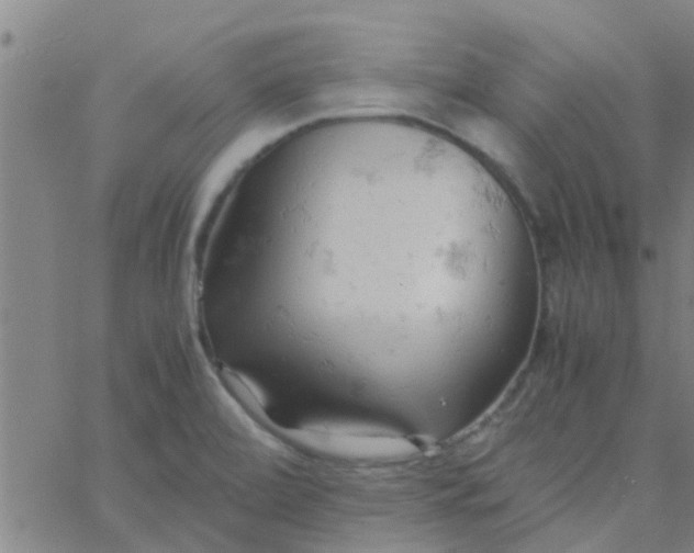 X0000061741472200512231447