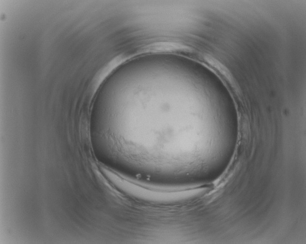 X0000061741473200512231447