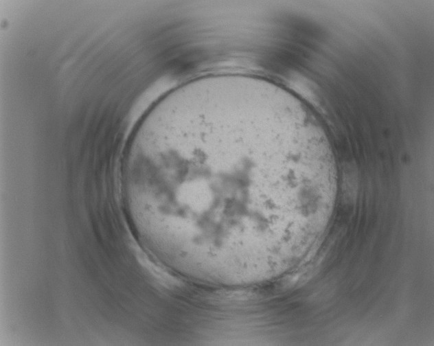 X0000061741474200512231447