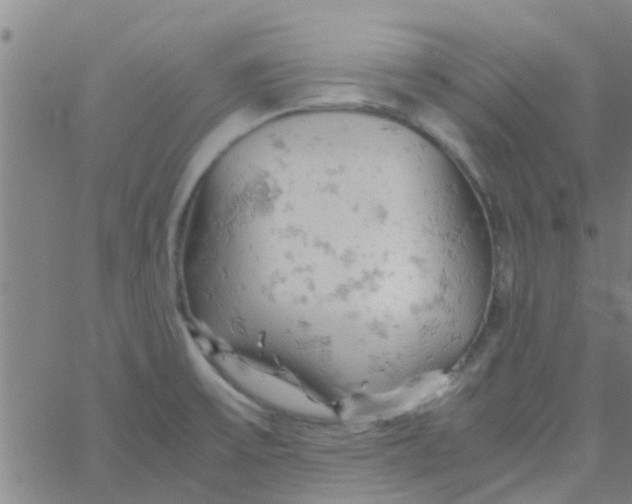 X0000061741475200512231447