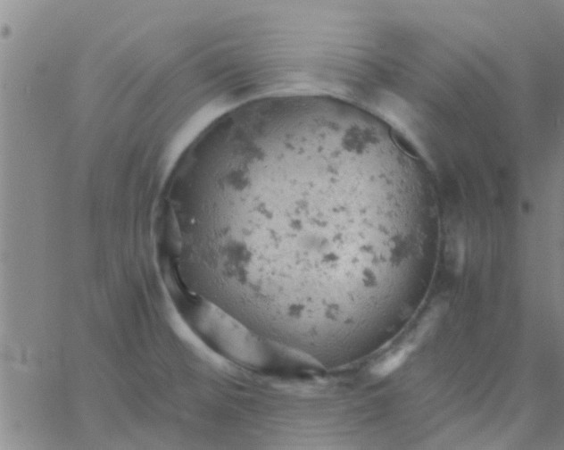 X0000061741476200512231447