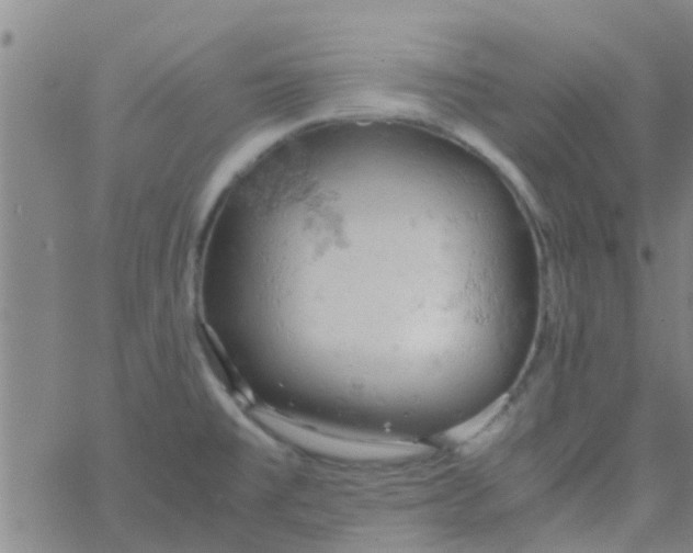 X0000061741477200512231447