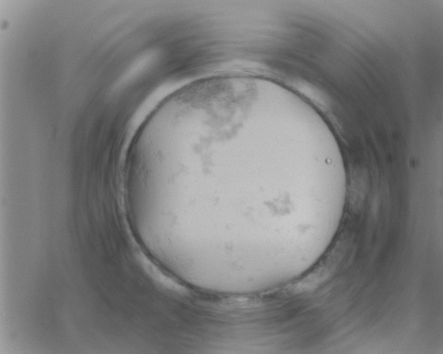 X0000061741478200512231447