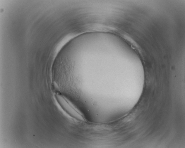 X0000061741479200512231447