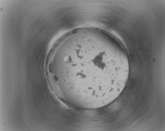 X0000061741480200512231447