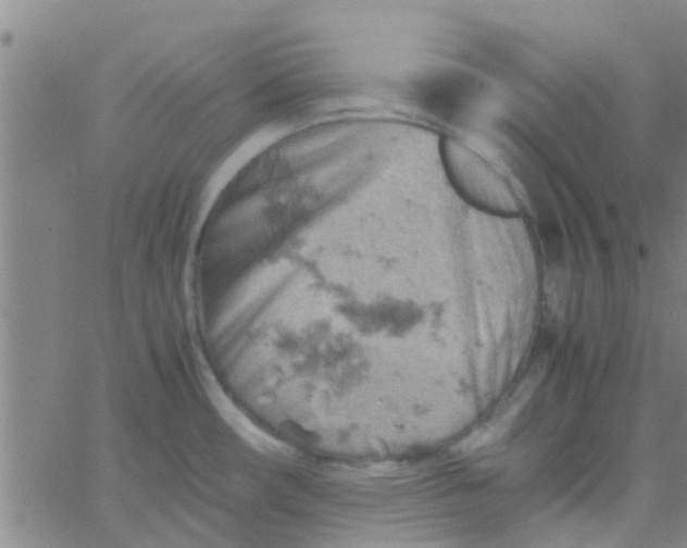 X0000061741482200512231447