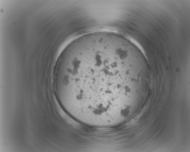 X0000061741483200512231447