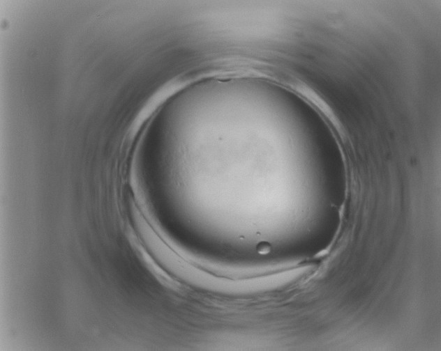 X0000061741485200512231447