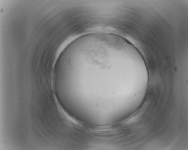 X0000061741486200512231447