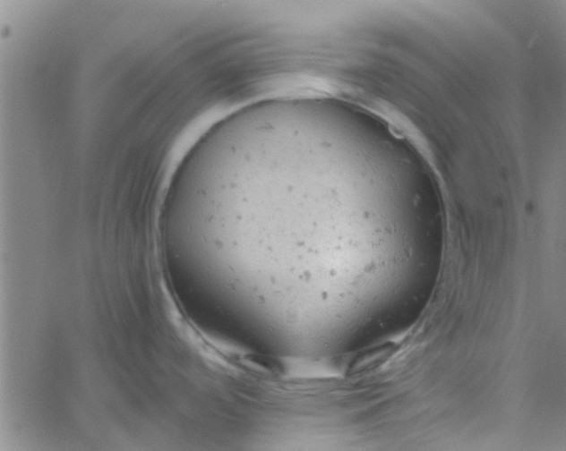 X0000061741488200512231447