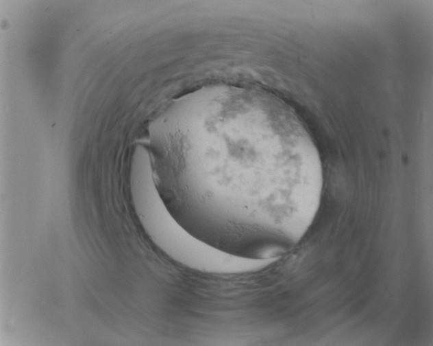 X0000061741489200512231446