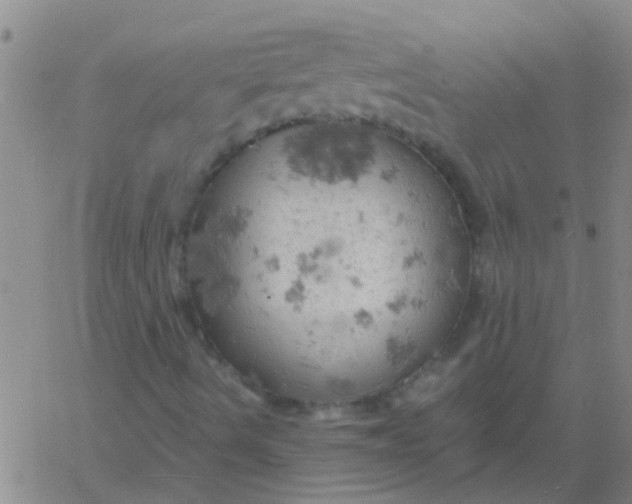 X0000061741490200512231446