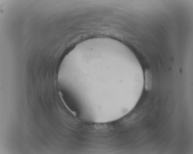 X0000061741491200512231446