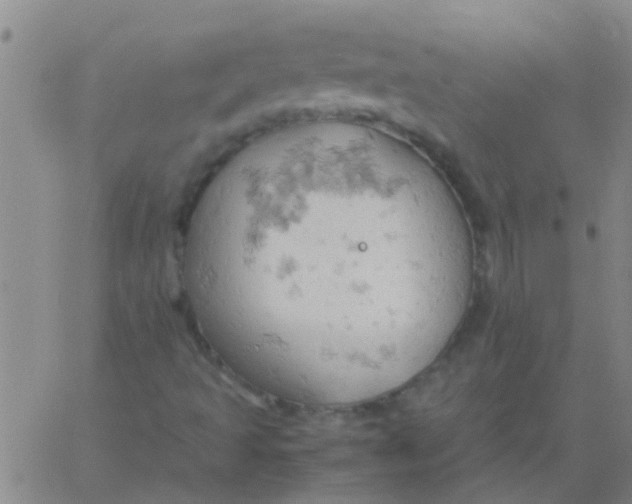 X0000061741493200512231446