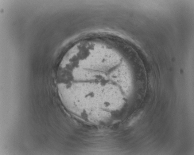 X0000061741494200512231446