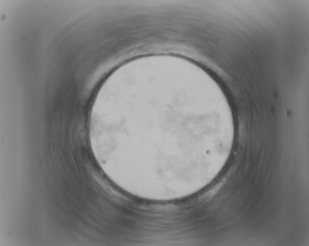 X0000061741498200512231446