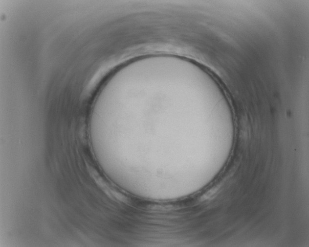 X0000061741499200512231447