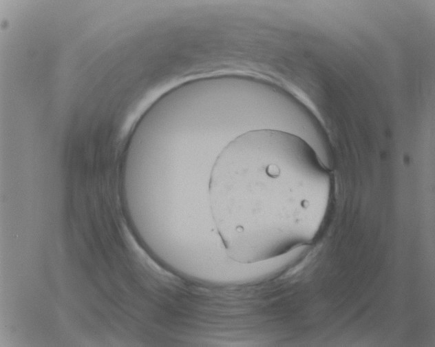 X0000061741500200512231447