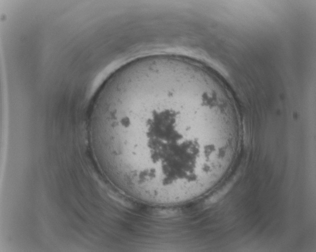 X0000061741501200512231447