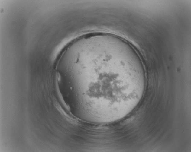 X0000061741503200512231447