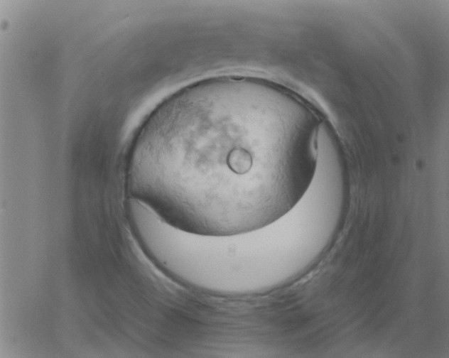 X0000061741504200512231447