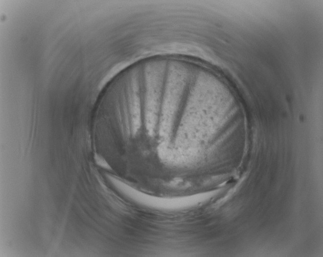 X0000061741505200512231447