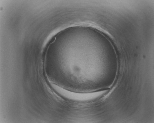 X0000061741506200512231447