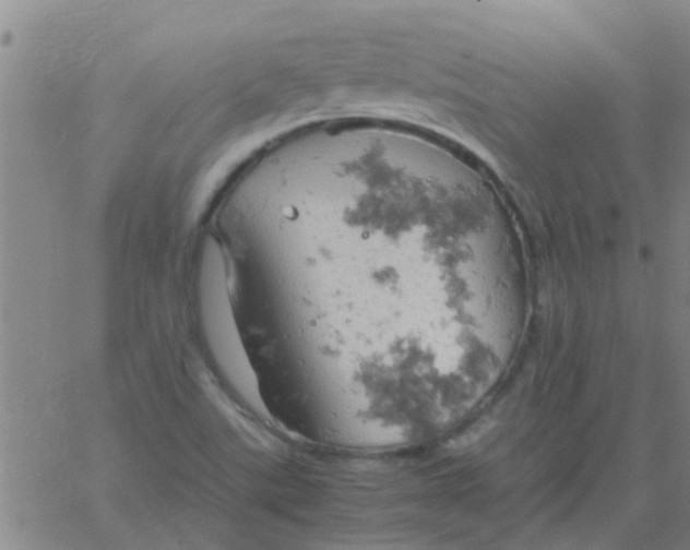 X0000061741507200512231447