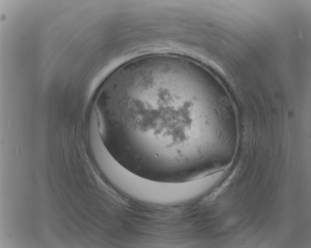 X0000061741509200512231447