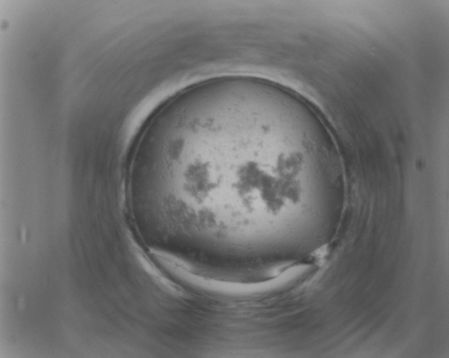 X0000061741511200512231447